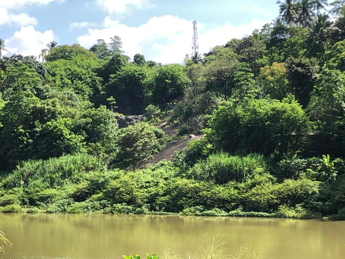 Kandy Rivers Edge Nature Resort Ngoại thất bức ảnh