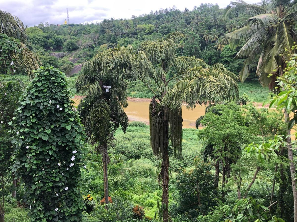 Kandy Rivers Edge Nature Resort Ngoại thất bức ảnh