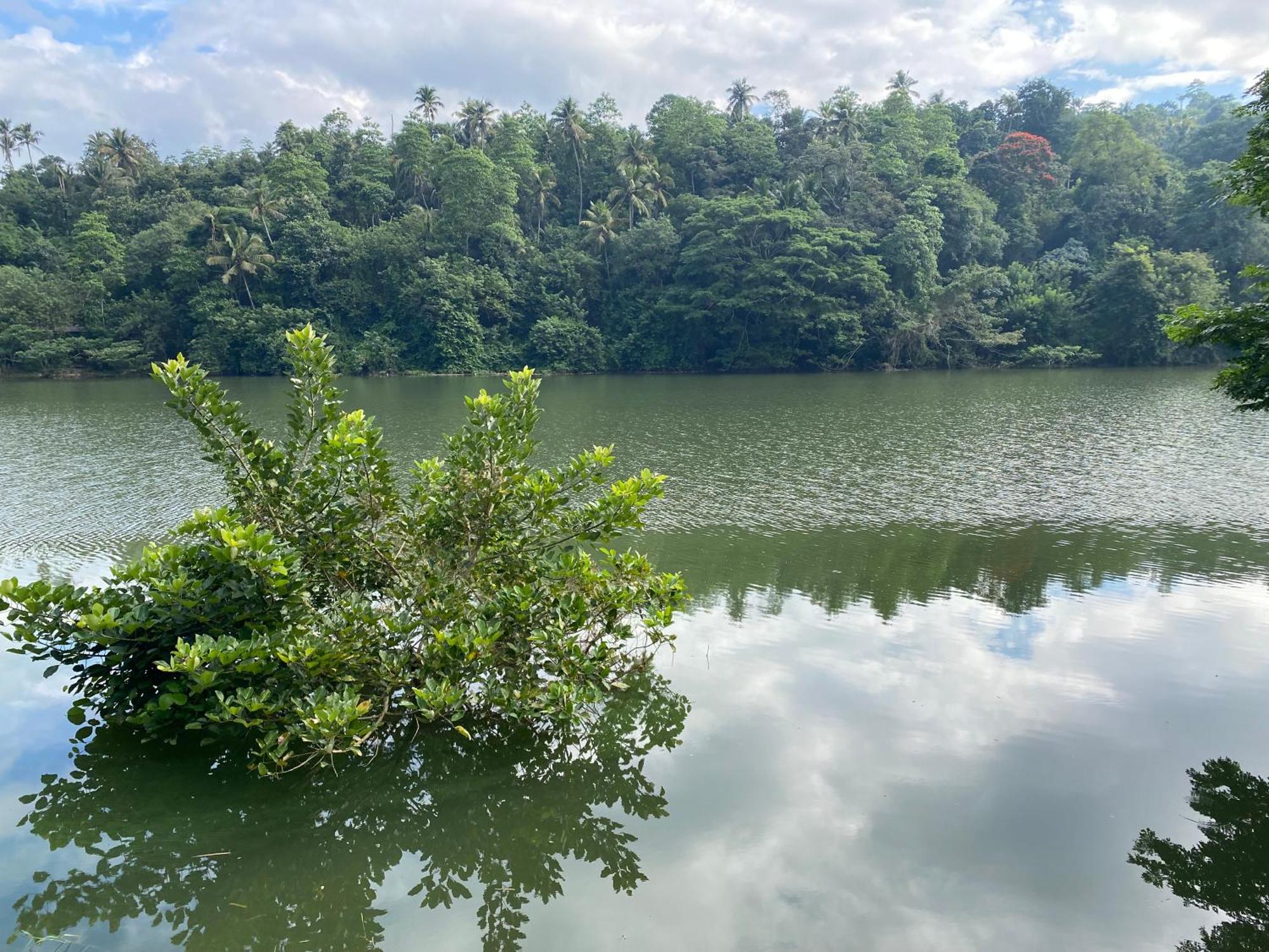 Kandy Rivers Edge Nature Resort Ngoại thất bức ảnh